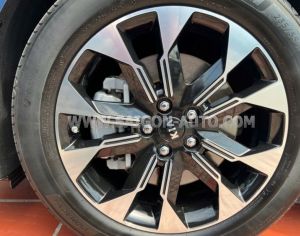 Xe Kia Carnival Signature 2.2D 2021