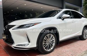 Xe Lexus RX 350 2022