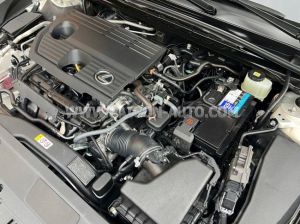 Xe Lexus ES 250 2022