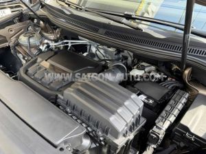 Xe Volkswagen Viloran Luxury 2024