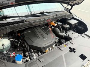 Xe Kia Carnival Signature 2.2D 2022